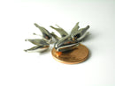 Four Petal Bead Cones, Antique Silver Plated, 13mmx8mm - 10 pcs