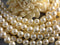 Czech Glass Faux Pearls, Champagne Tint, 8mm diameter bead - 15-inch Strand (50 beads)