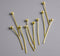 100 14k Gold Plated Ball End Headpins (24 guage) - 20mm - Pim's Jewelry Supplies
