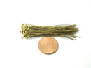 26 gauge Antique Brass Ball End Head Pins, 50mm long - 50 pieces