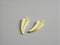 Charm - Gold Plated - 14k Gold Fang Shape - 15mm - 1 Charm - Pim's Jewelry Supplies