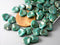 50 pcs Czech Glass Rose Petal Shaped - Persian Turquoise / Copper Fusion - Pim's Jewelry Supplies