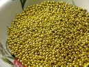 Gold Plated Brass Seed Bead, 2.4mm - 100 pcs - Pim's Jewelry Supplies